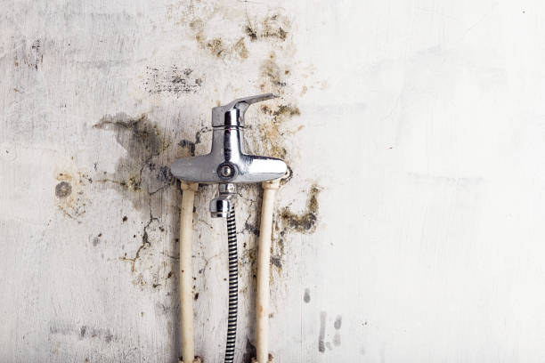Best Commercial Mold Remediation in Smithville, TN