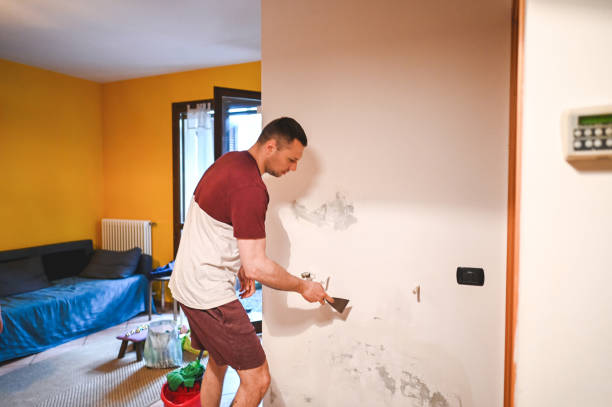 Best Mold Remediation for Specific Building Types in Smithville, TN