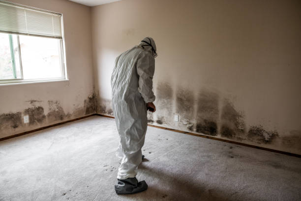 Best Industrial Mold Remediation in Smithville, TN